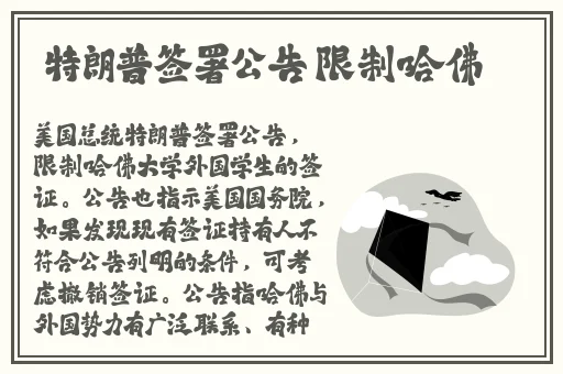 20分钟以上的大片